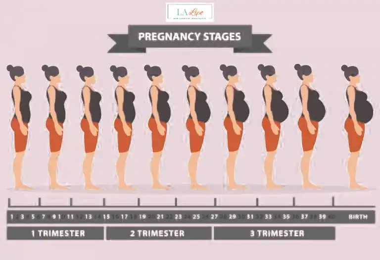 First Trimester (Weeks 1–12): Early Changes You Might Not Notice Eastcote